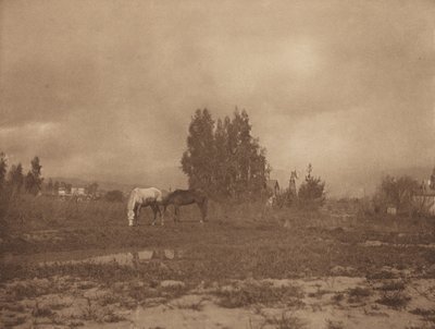 Pasadena Landscape by William B. Post