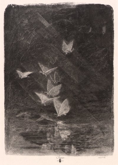Night Moths by William Baxter Closson