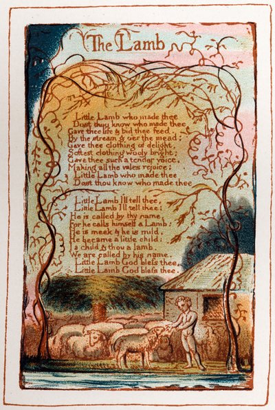 A page from 