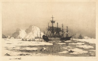 Among the Ice Floes by William Bradford