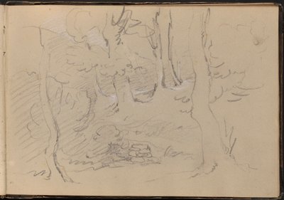 Sketch of a Group of Trees by William Brockedon