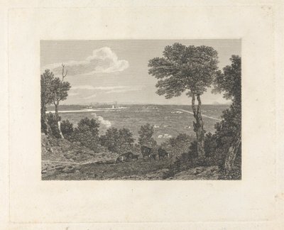 Distant View of Chester by William Byrne