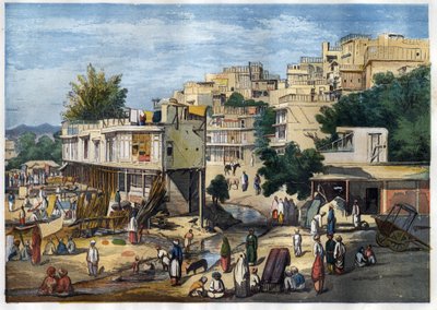 View of Peshawar, Pakistan by William Carpenter