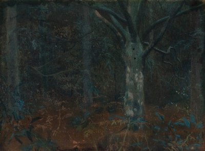 Old Sycamore by William Edward Stott