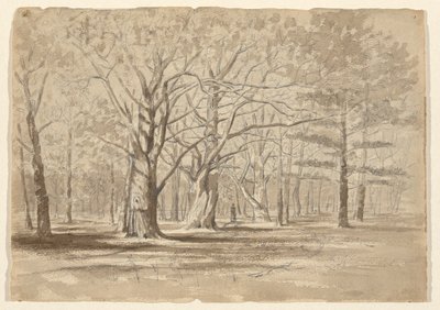 College Woods by William Fowler Hopson