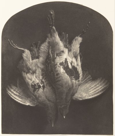 A Brace of Grouse by William Frederick Lake Price