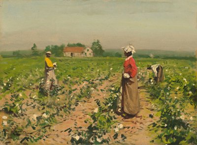 Picking Cotton by William Gilbert Gaul