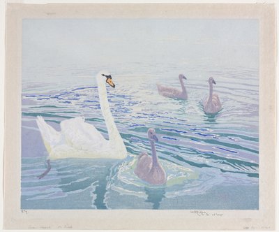 Swans and Cygnets by William Giles