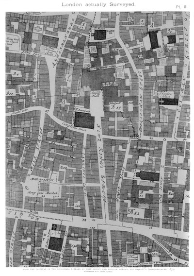 London Actually Surveyed by William Griggs
