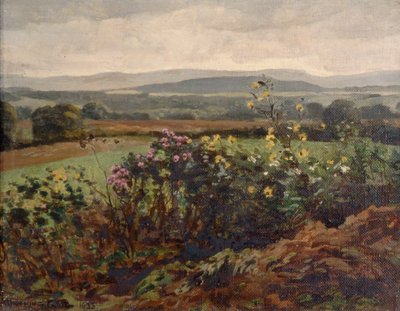 Wild Flowers by William Gunning King