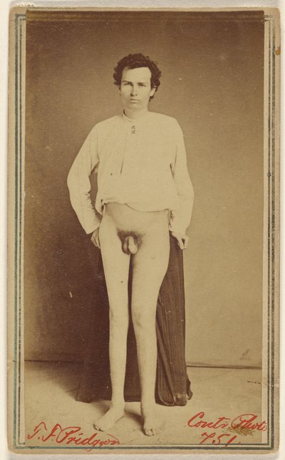 T.F. Pridgeon, Civil War Victim by William H. Bell