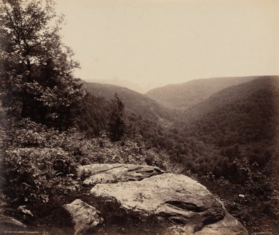 Cliff View, Summit of Alleghenies by William H. Rau