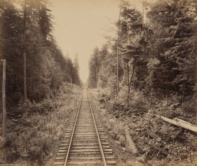 Hemlock Forest by William H. Rau