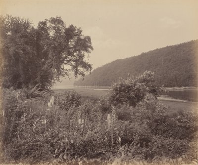 The Susquehanna At Wyalusing by William H. Rau