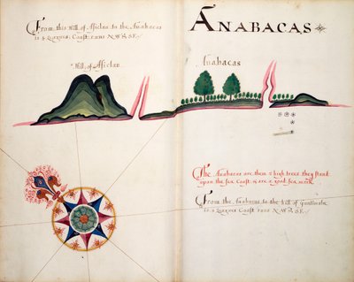 Anabacas by William Hack