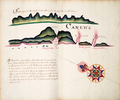 Canette by William Hack