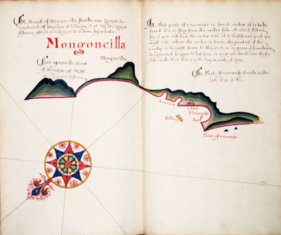 Mongoncilla by William Hack
