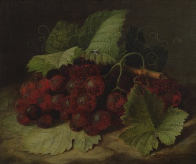 Still Life of Grapes by William Hammer