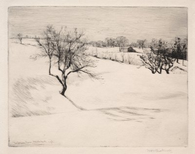 The Hillside Farm by William Harry Warren Bicknell