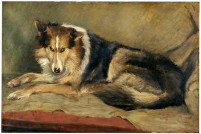 Collie Dog by William Henry Charlton