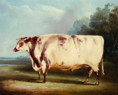 A Prize Bull by William Henry Davis