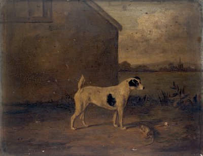 Waterloo Spot by William Henry Davis