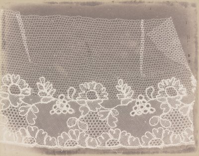 Lace by William Henry Fox Talbot