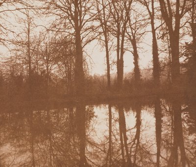 Reflections by William Henry Fox Talbot