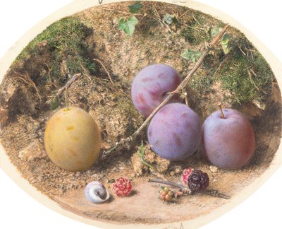 Plums and Mulberries by William Henry Hunt