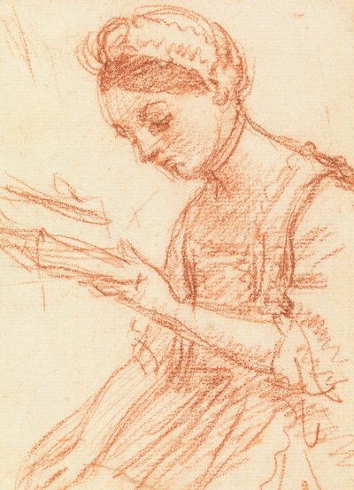 Young Lady with a Book by William Hoare