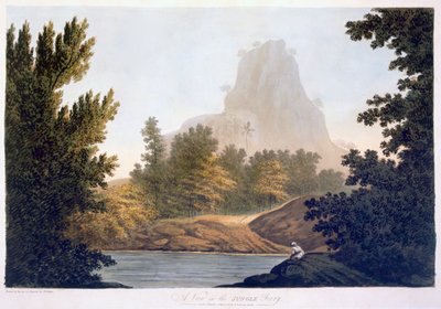 View of the Jungle, 1788 by William Hodges