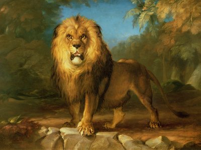 A Lion, 1840 by William Huggins
