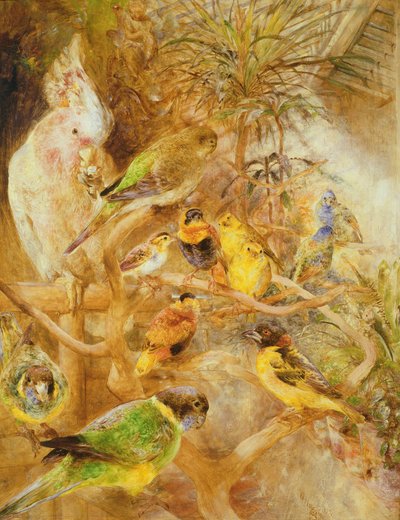 Bird Aviary by William Huggins