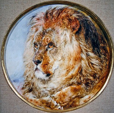 Portrait of a Lion by William Huggins