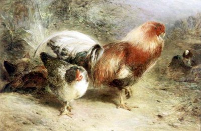Poultry by William Huggins