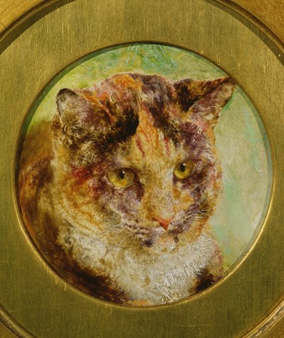 Study of a Tortoiseshell Cat by William Huggins