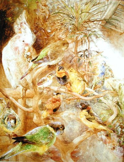 The Aviary by William Huggins