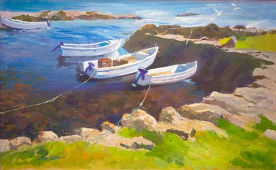 Rocky harbour by William Ireland