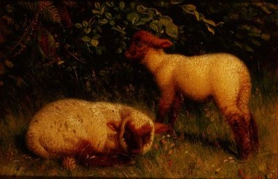 Lambs by William J. Webbe or Webb