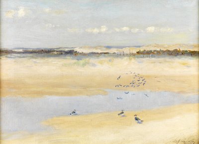 Lapwings by the Sea by William James Laidlay