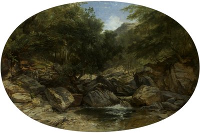 Rocky Stream at Lynmouth by William James Muller