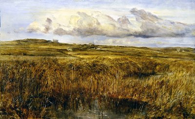 Rhoscolyn, Anglesey by William Joseph J.C. Bond