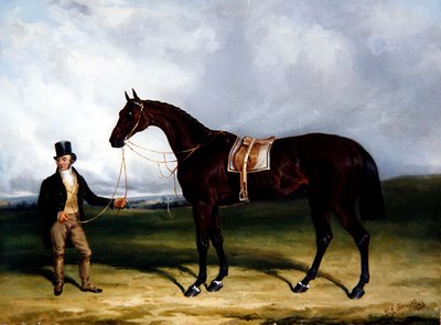 Bay Middleton, Winner of the Derby by William Joseph Shayer