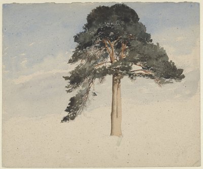 Scots Pine by William Leighton Leitch