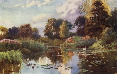 The Lake in Botanic Gardens by William Matthison