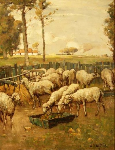 The Sheep Fold by William McBride