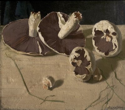 Mushrooms by William Nicholson
