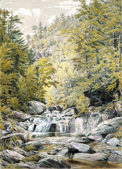 Catskill Clove by William Rickarby Miller