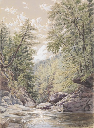 Catskill Clove in Palingsville by William Rickarby Miller