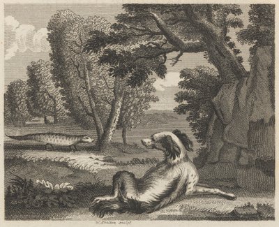 The Spaniel and the Chameleon by William Skelton
